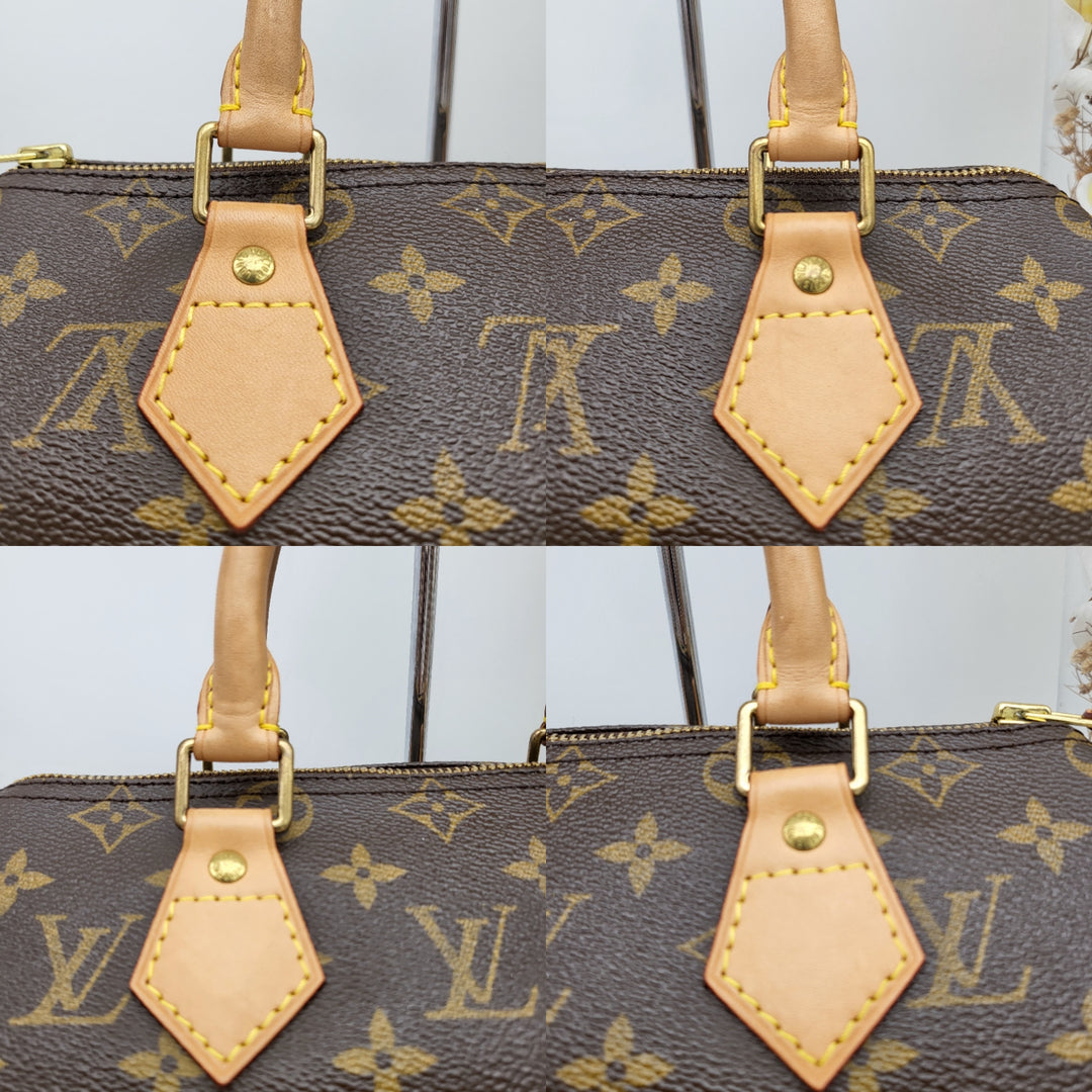 LOUIS VUITTON SPEEDY 25 MONOGRAM