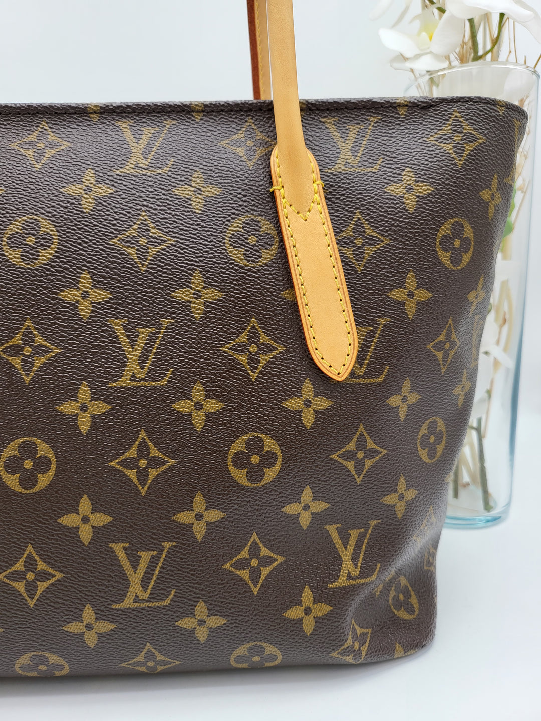 LOUIS VUITTON RASPAIL MONOGRAM PM