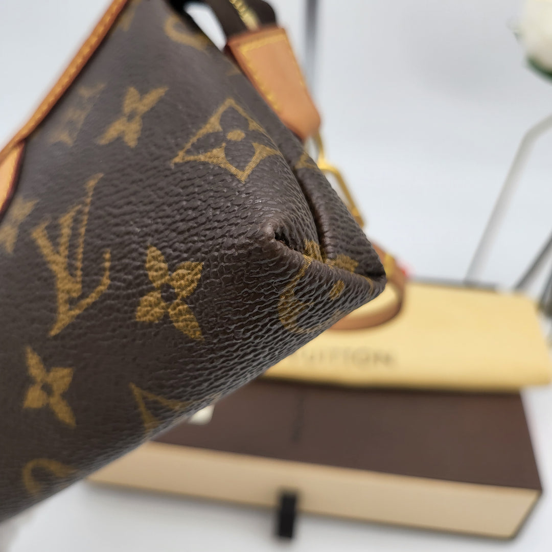 LOUIS VUITTON MINI DELIGHTFUL MONOGRAM