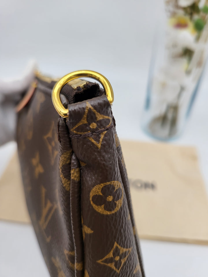 LOUIS VUITTON MULTI POCHETTE