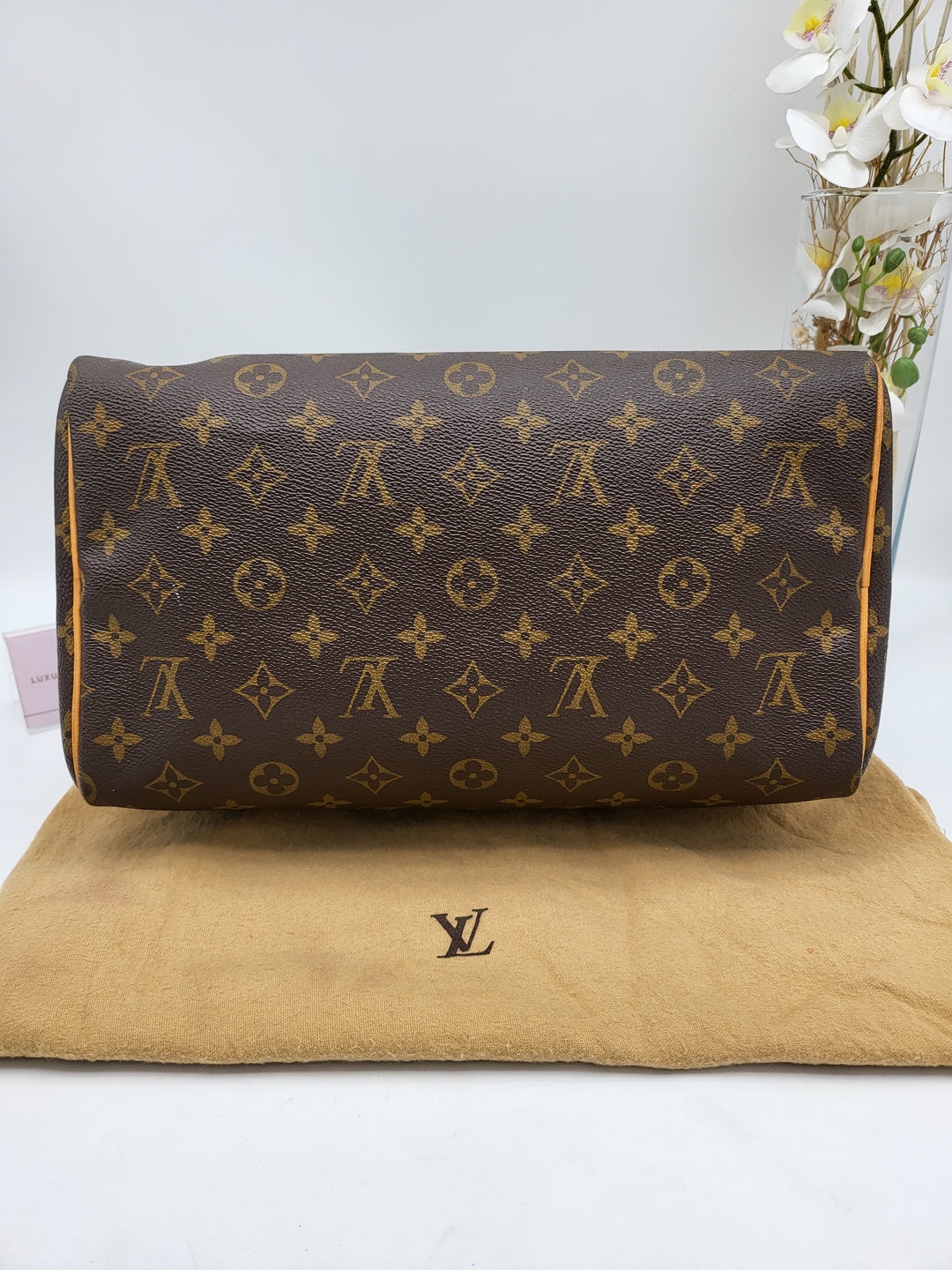 LOUIS VUITTON SPEEDY 30 MONOGRAM