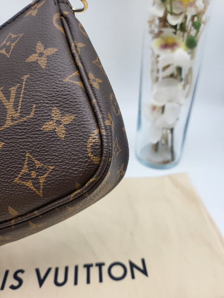 LOUIS VUITTON MULTI POCHETTE