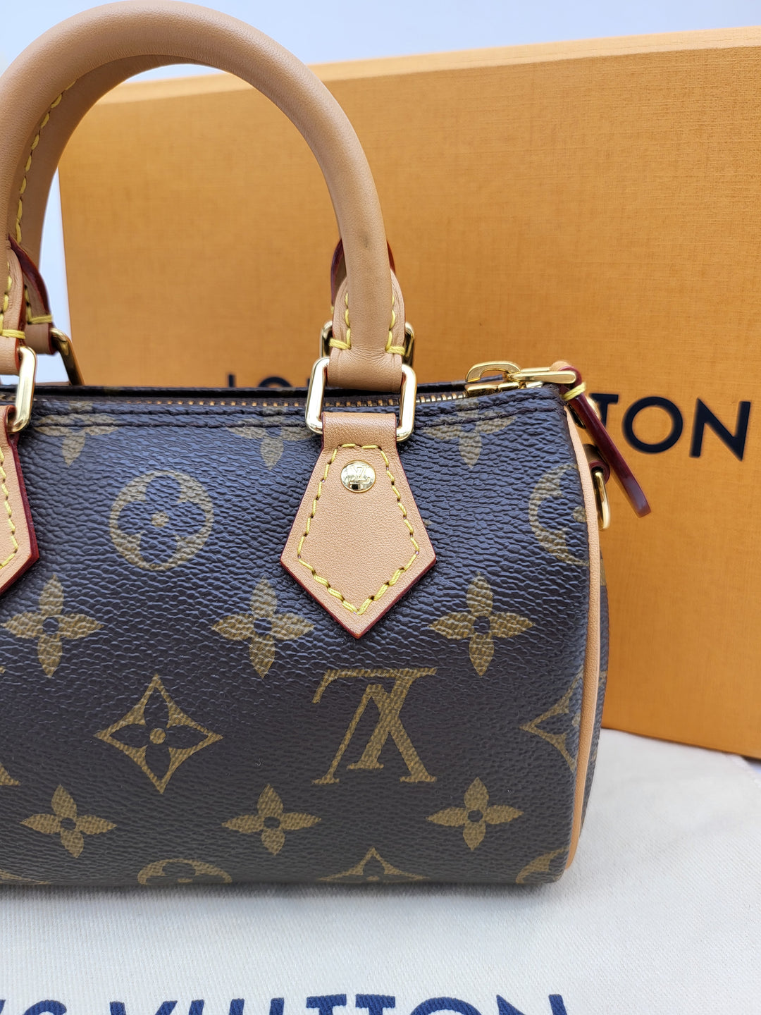 LOUIS VUITTON NANO SPEEDY VIVIENNE MONOGRAM