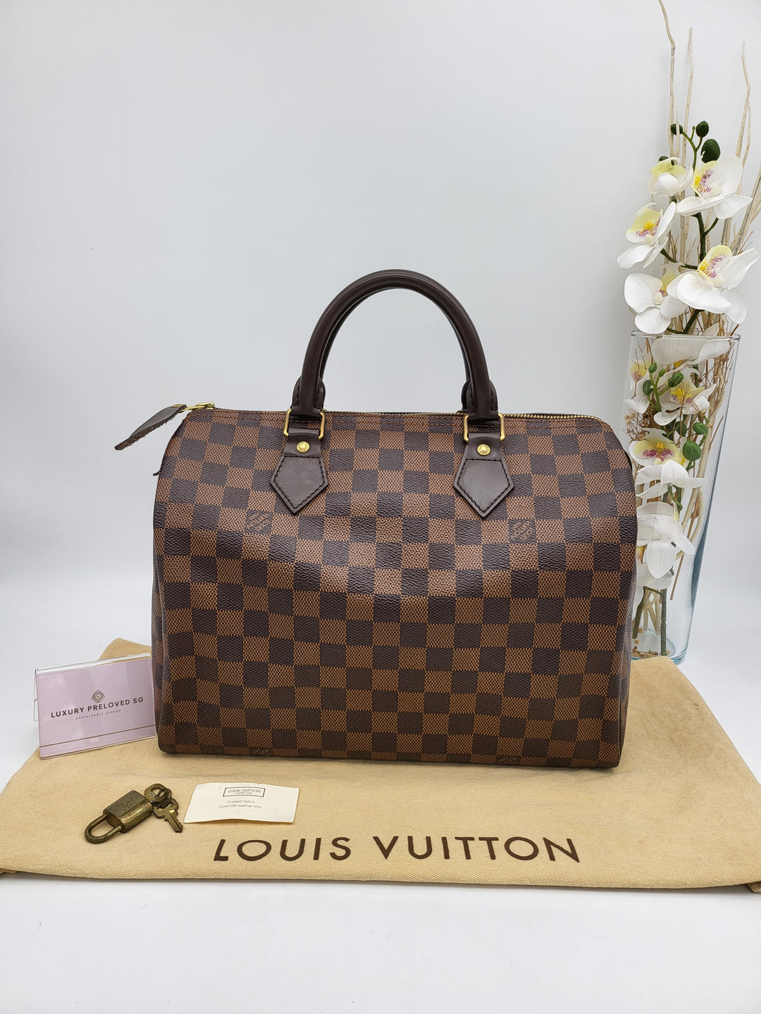 LOUIS VUITTON SPEEDY 30 DAMIER
