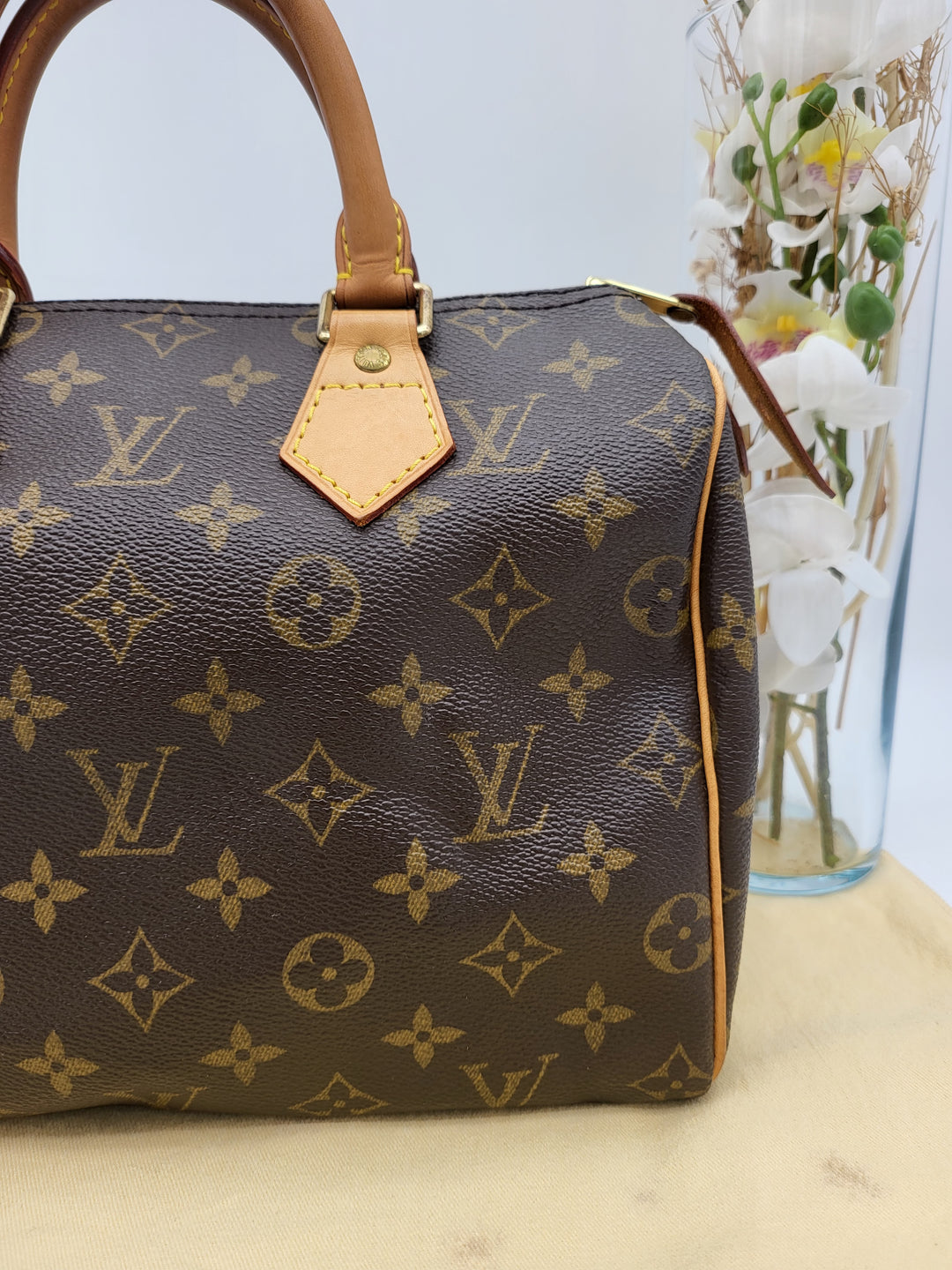 LOUIS VUITTON SPEEDY 25 MONOGRAM