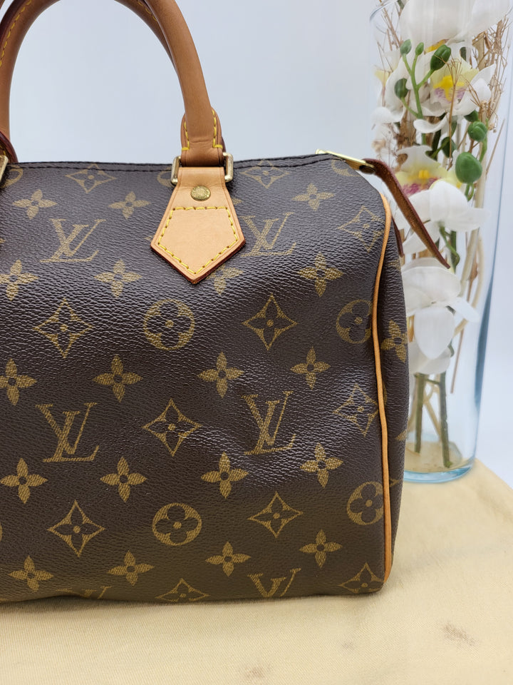 LOUIS VUITTON SPEEDY 25 MONOGRAM