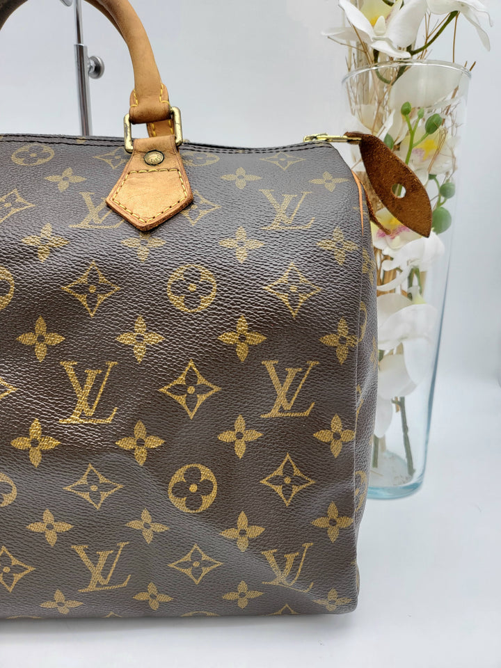 LOUIS VUITTON SPEEDY 30 MONOGRAM