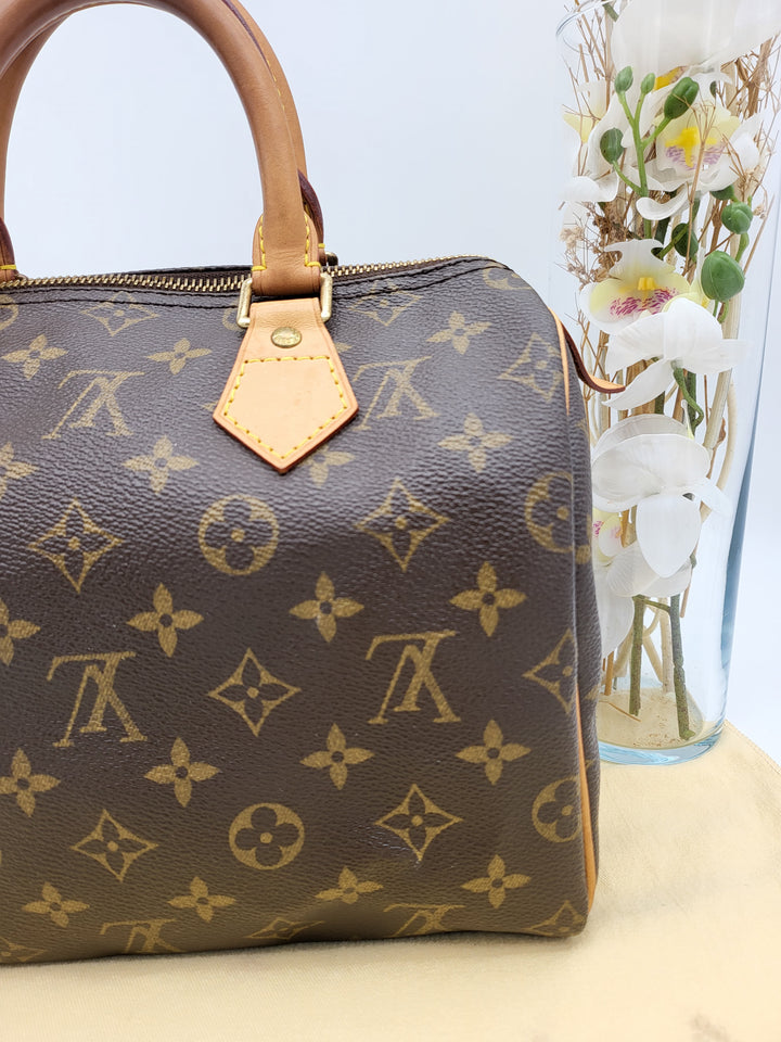 LOUIS VUITTON SPEEDY 25 MONOGRAM