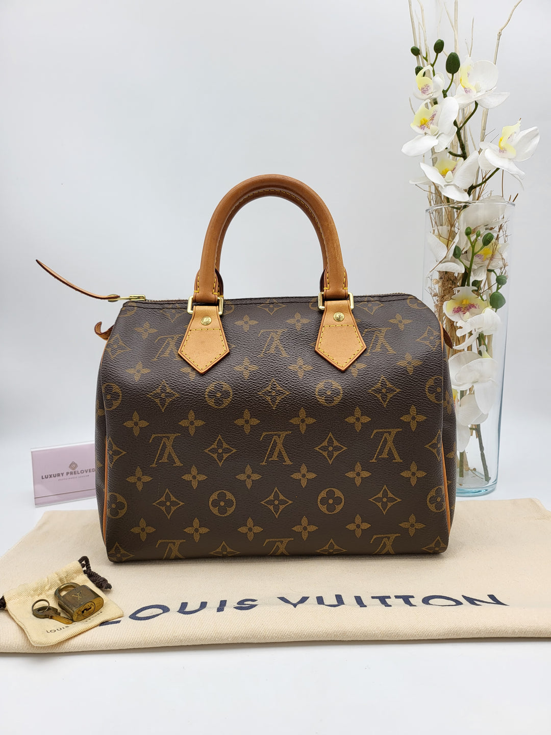 LOUIS VUITTON SPEEDY 25 MONOGRAM