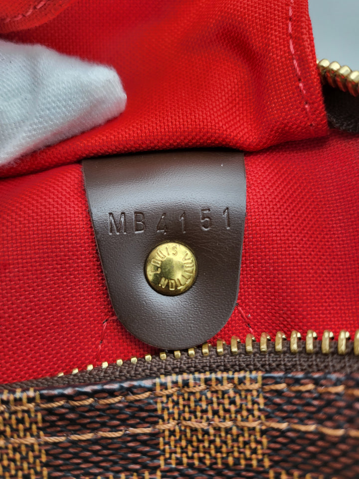 LOUIS VUITTON SPEEDY 30 DAMIER
