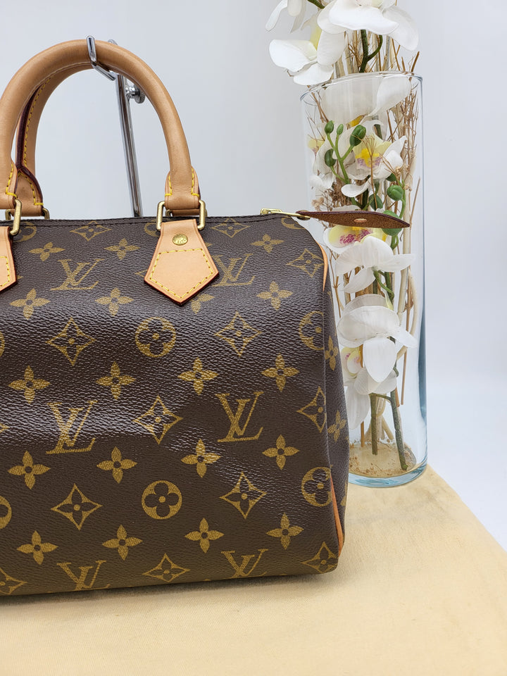 LOUIS VUITTON SPEEDY 25 MONOGRAM