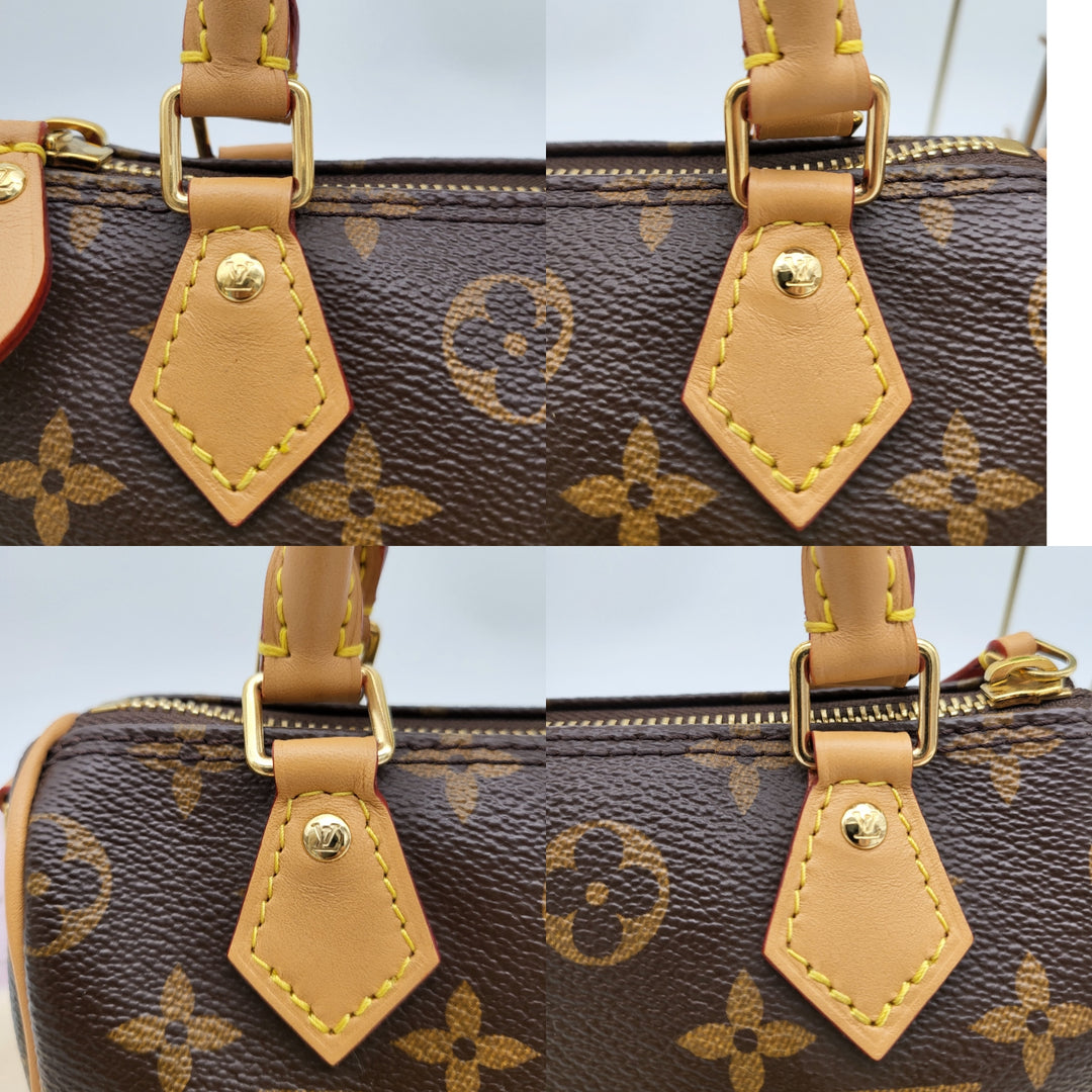 LOUIS VUITTON NANO SPEEDY MONOGRAM