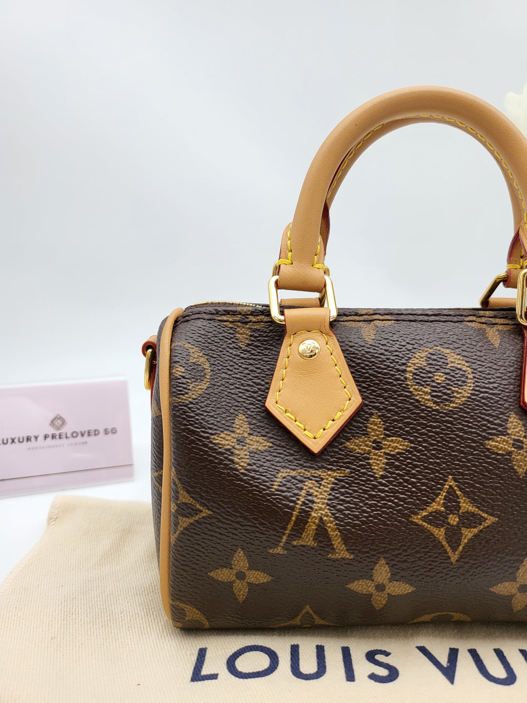 LOUIS VUITTON NANO SPEEDY MONOGRAM