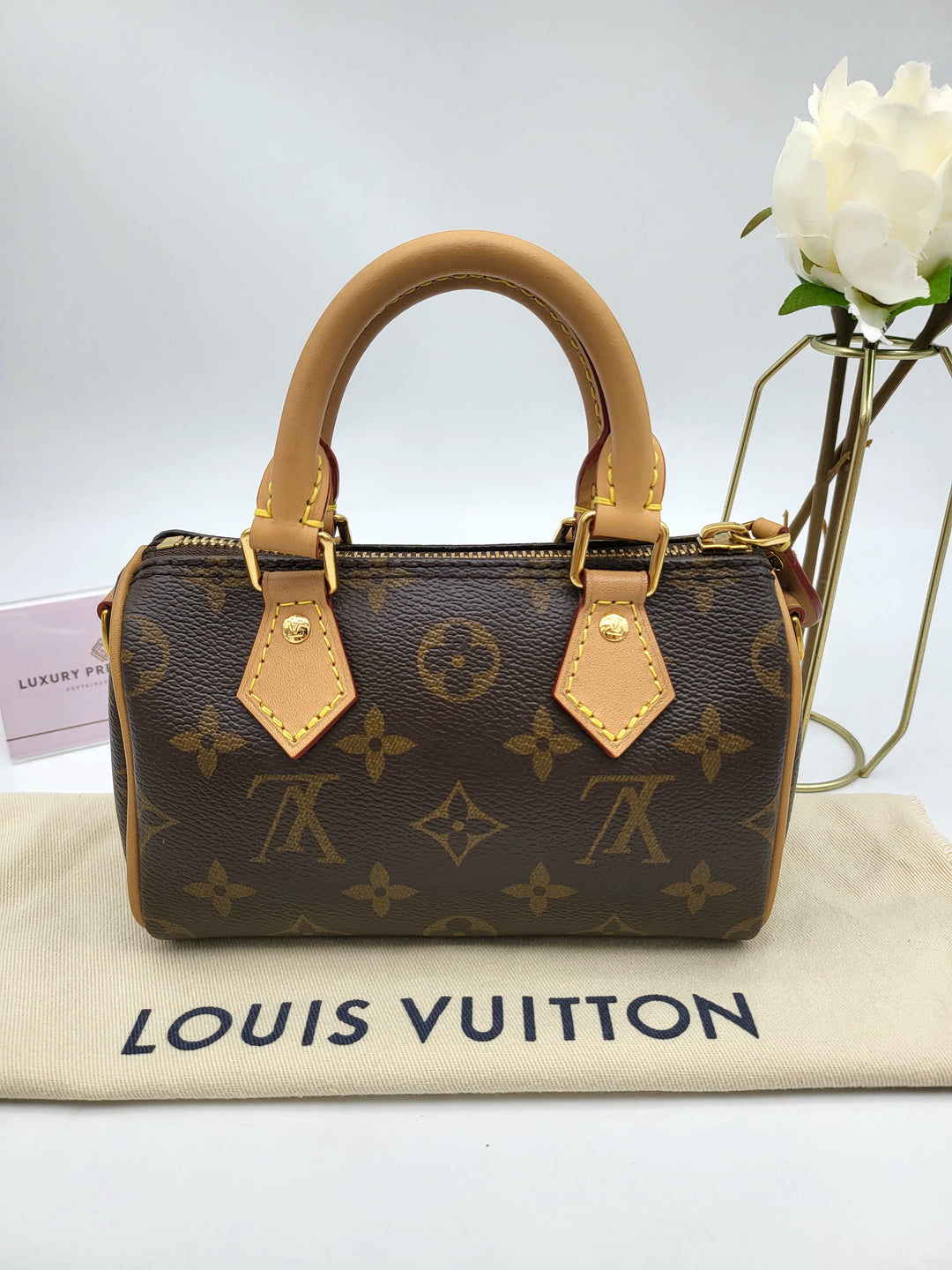 LOUIS VUITTON NANO SPEEDY MONOGRAM
