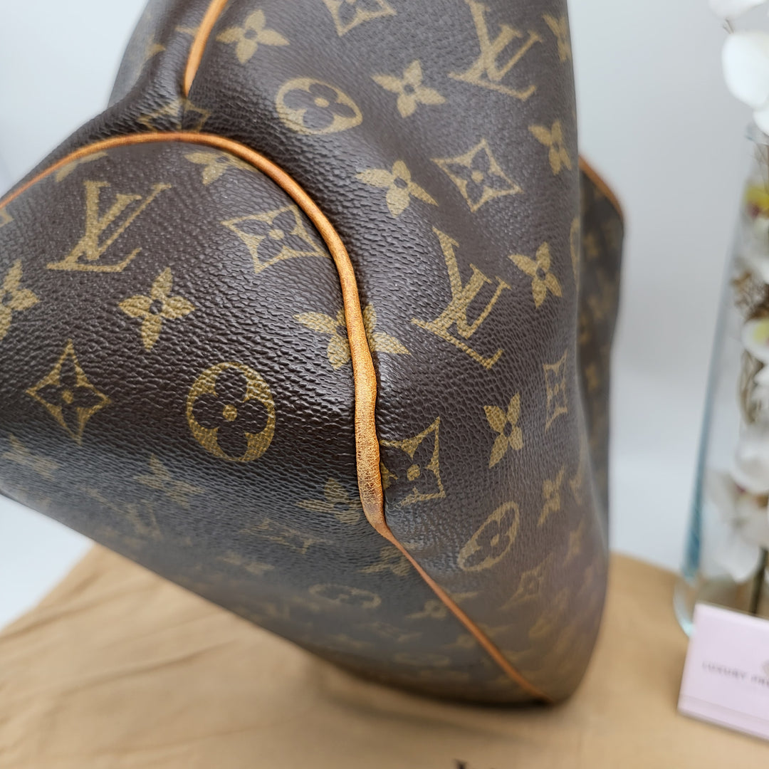 LOUIS VUITTON DELIGHTFUL MONOGRAM PM