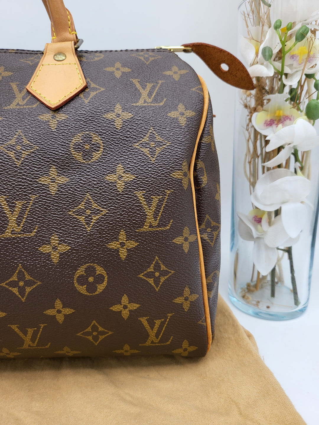 LOUIS VUITTON SPEEDY 30 MONOGRAM