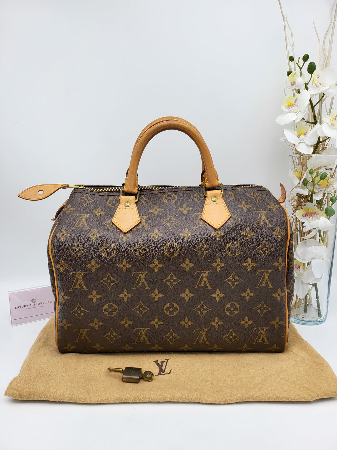 LOUIS VUITTON SPEEDY 30 MONOGRAM