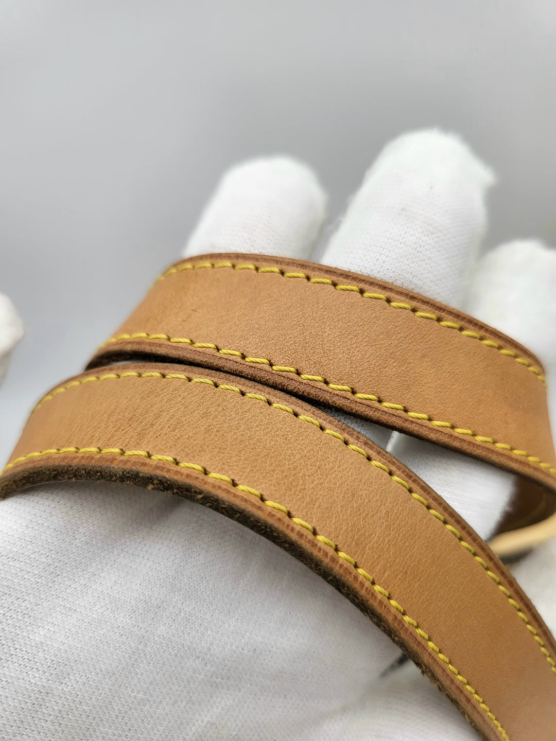 LOUIS VUITTON MONOGRAM PALERMO PM