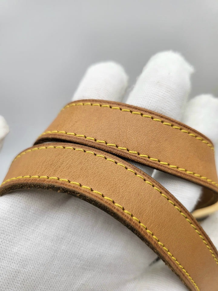 LOUIS VUITTON MONOGRAM PALERMO PM