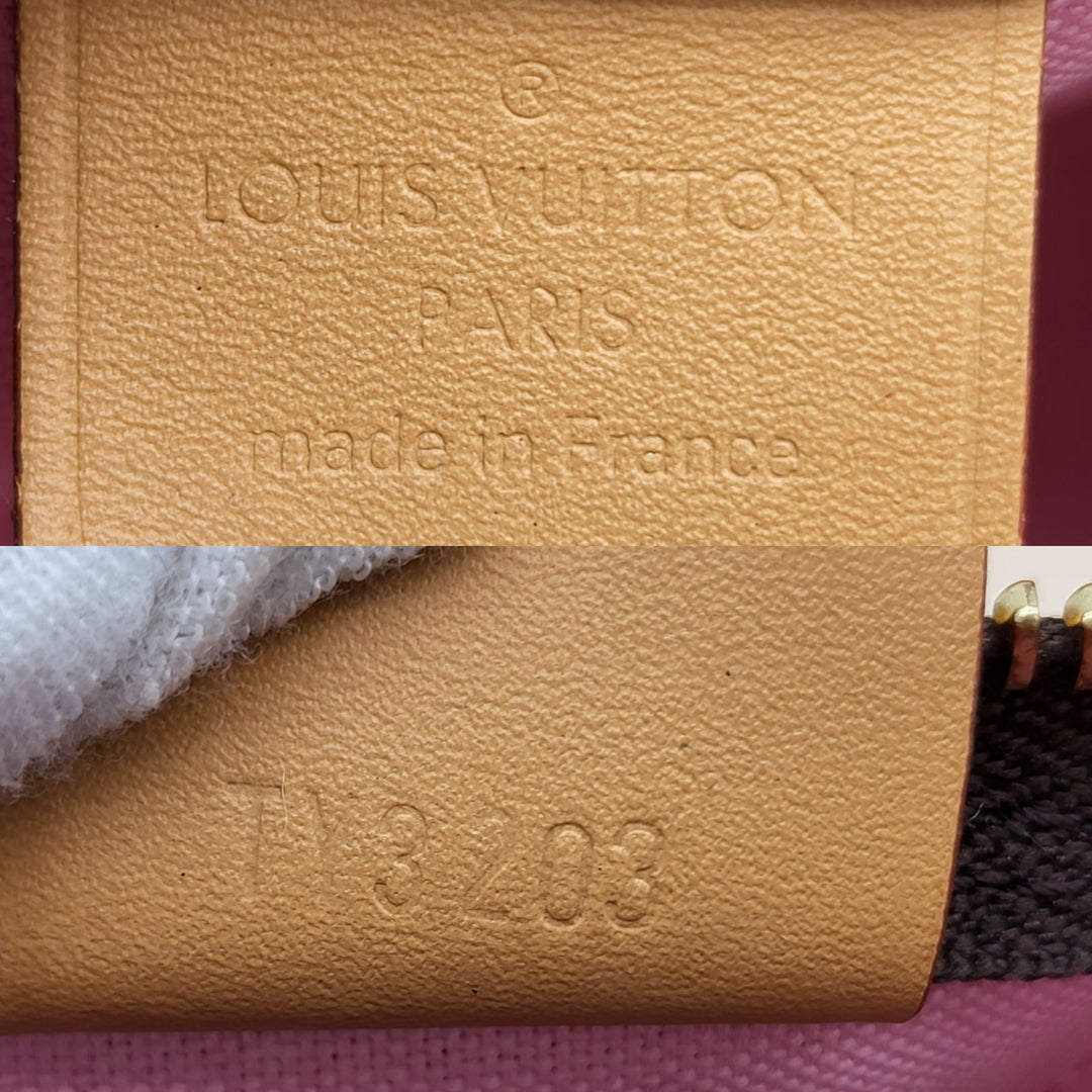 LOUIS VUITTON NANO SPEEDY VIVIENNE MONOGRAM