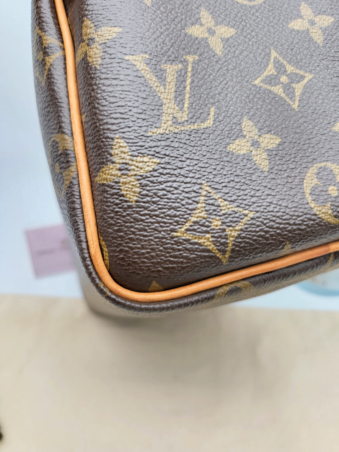 LOUIS VUITTON SPEEDY 25 MONOGRAM