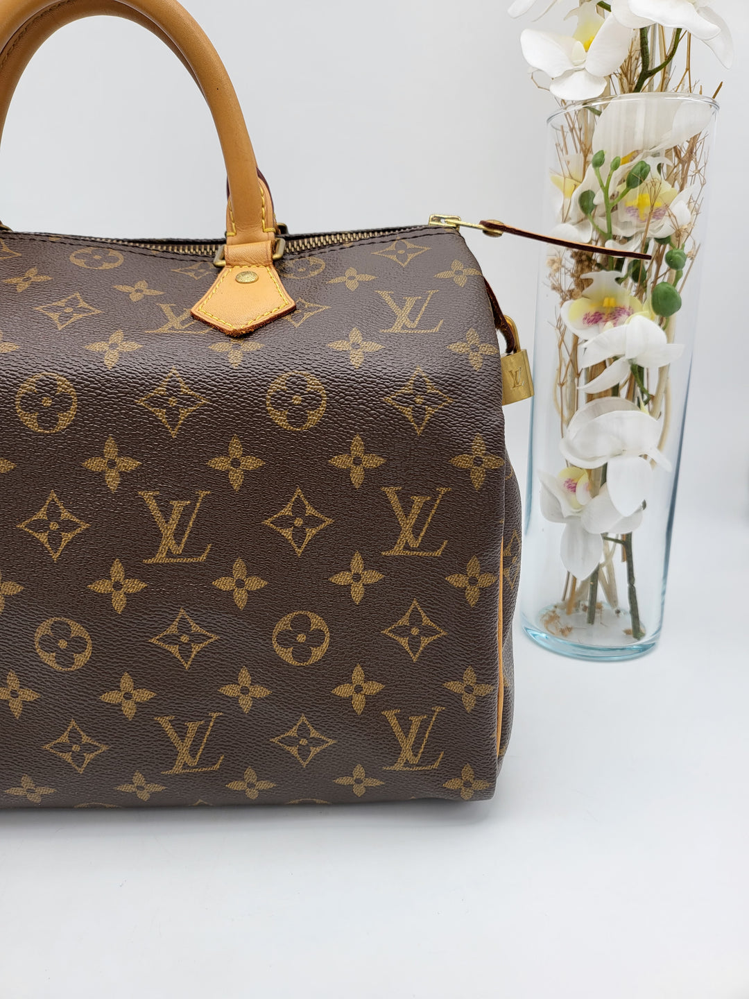 LOUIS VUITTON SPEEDY 30 MONOGRAM