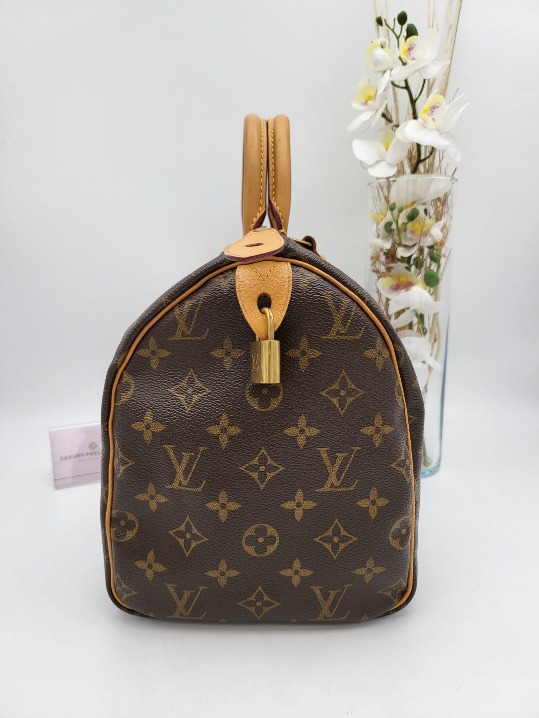 LOUIS VUITTON SPEEDY 30 MONOGRAM