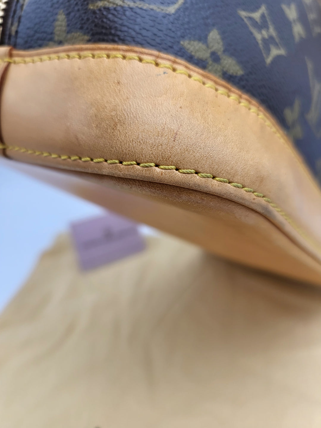 LOUIS VUITTON ALMA PM MONOGRAM