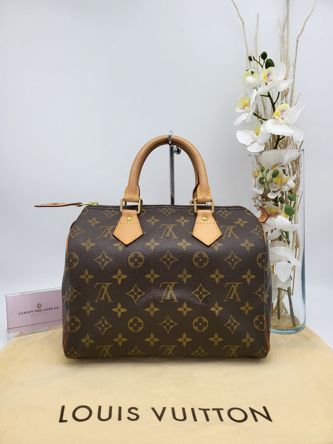LOUIS VUITTON SPEEDY 25 MONOGRAM