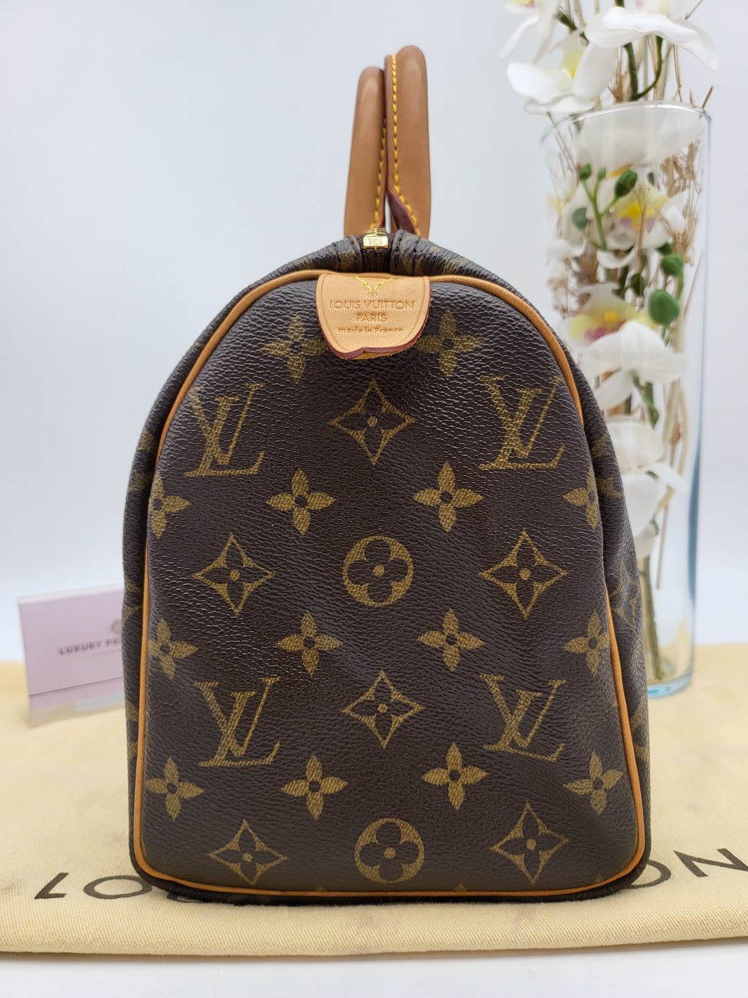 LOUIS VUITTON SPEEDY 25 MONOGRAM