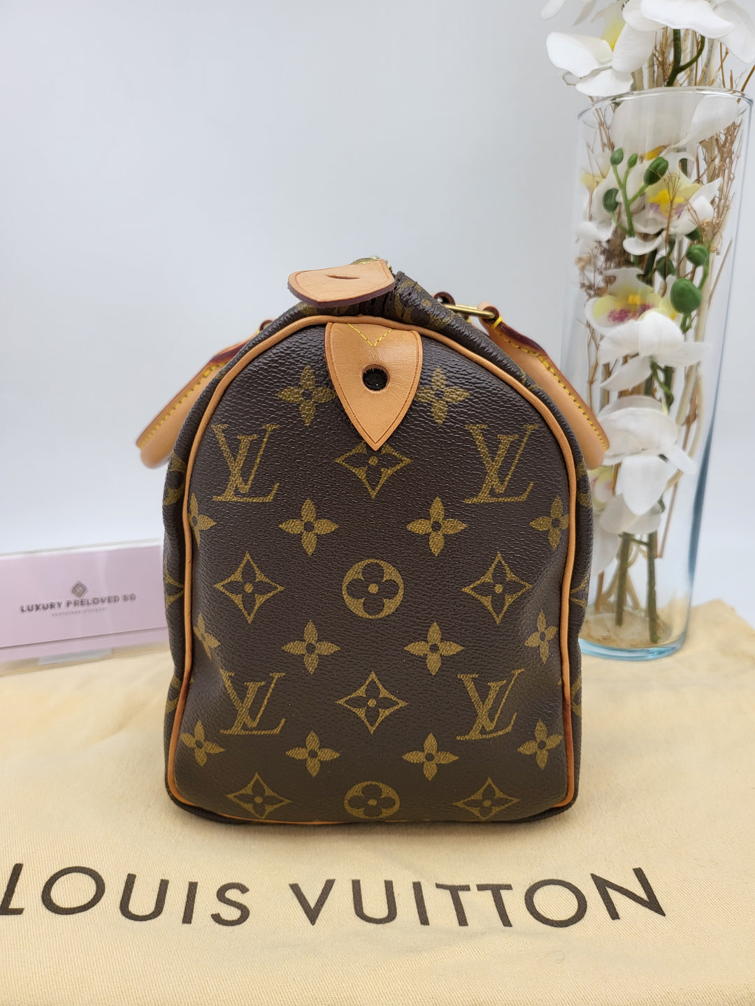 LOUIS VUITTON SPEEDY 25 MONOGRAM
