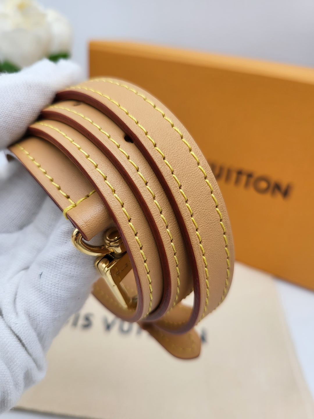 LOUIS VUITTON NANO SPEEDY VIVIENNE MONOGRAM