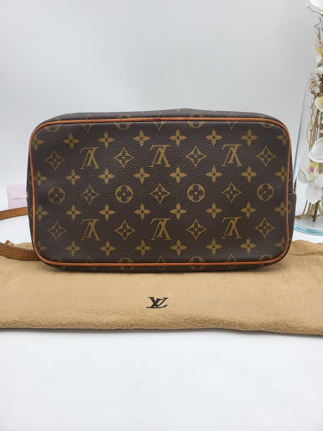 LOUIS VUITTON MONOGRAM PALERMO PM
