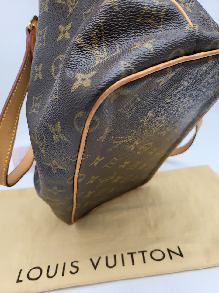 LOUIS VUITTON MONOGRAM PALERMO PM