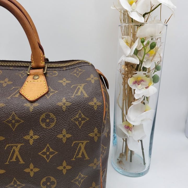 LOUIS VUITTON SPEEDY 30 MONOGRAM