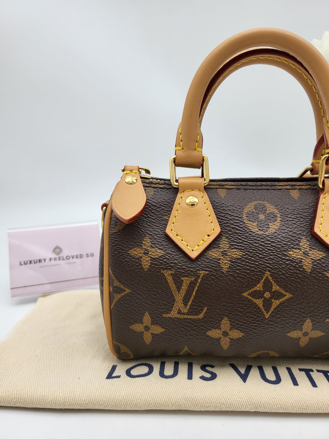 LOUIS VUITTON NANO SPEEDY MONOGRAM
