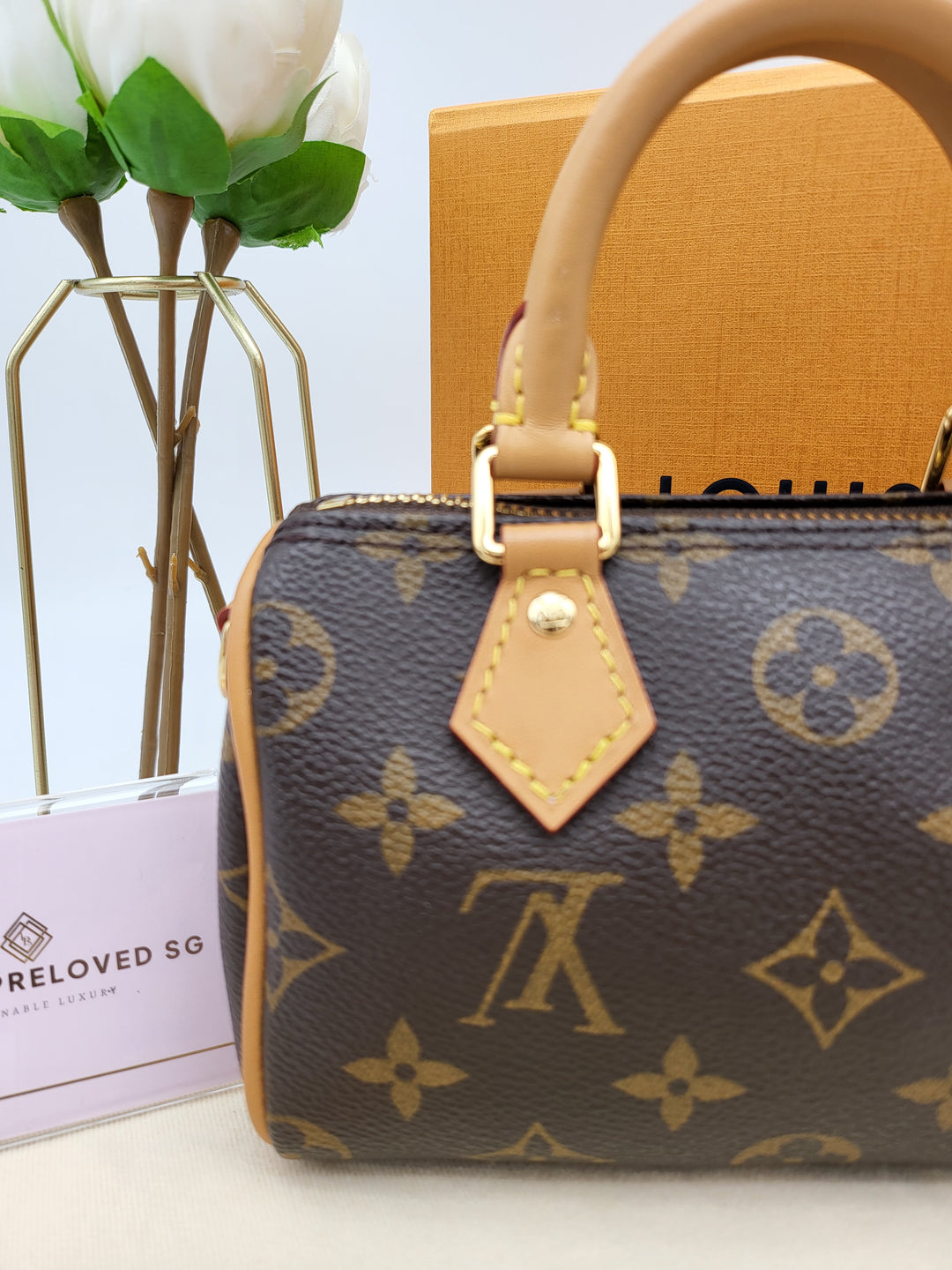LOUIS VUITTON NANO SPEEDY VIVIENNE MONOGRAM