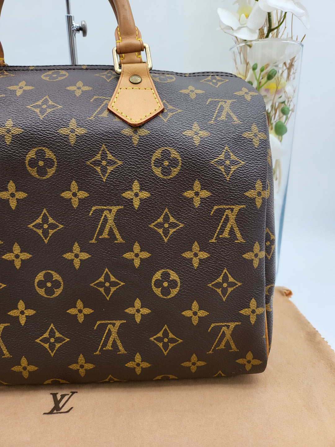 LOUIS VUITTON SPEEDY 30 MONOGRAM