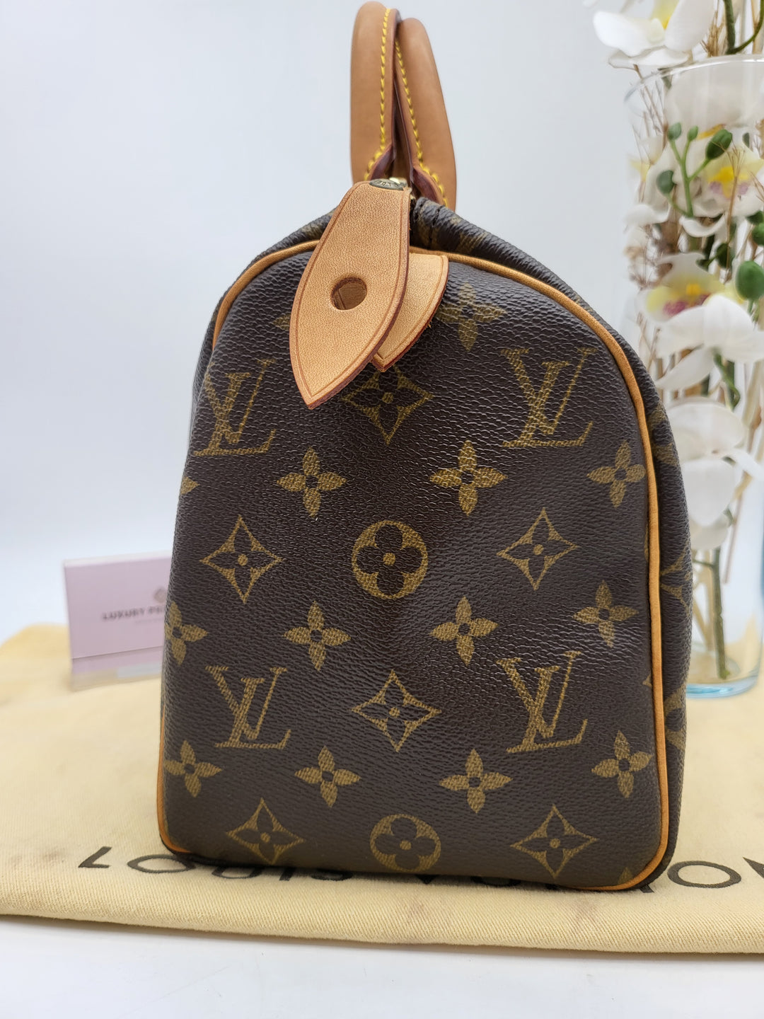 LOUIS VUITTON SPEEDY 25 MONOGRAM