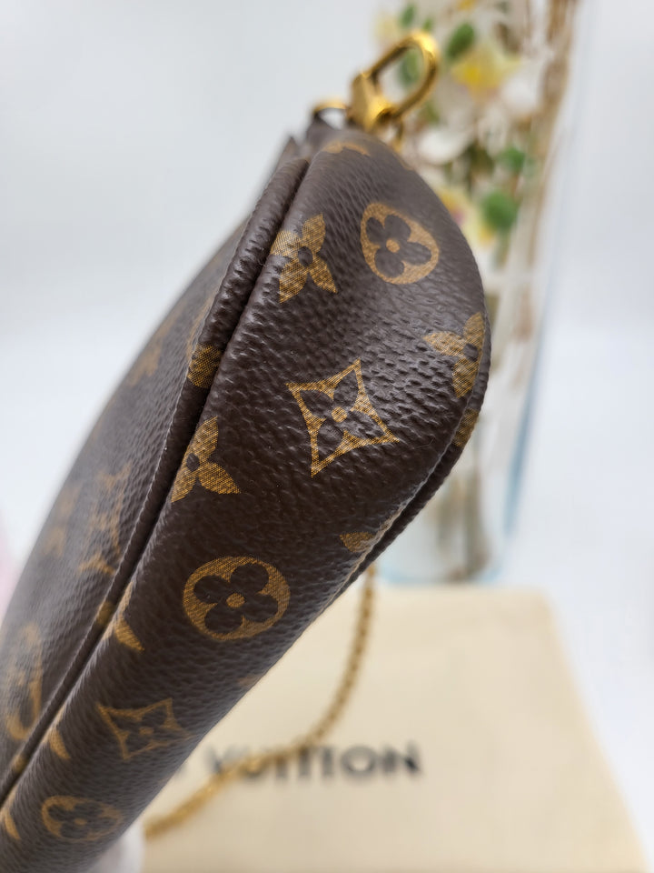 LOUIS VUITTON MULTI POCHETTE