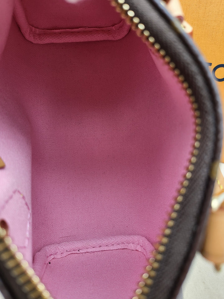 LOUIS VUITTON NANO SPEEDY VIVIENNE MONOGRAM