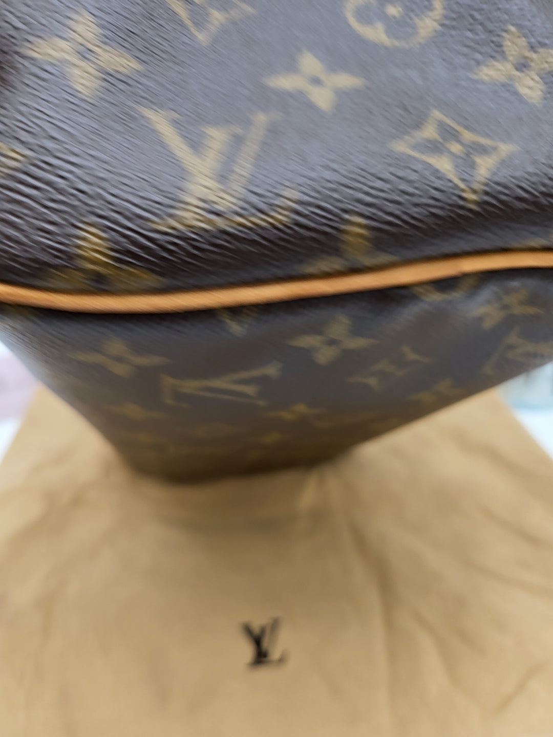 LOUIS VUITTON SPEEDY 30 MONOGRAM