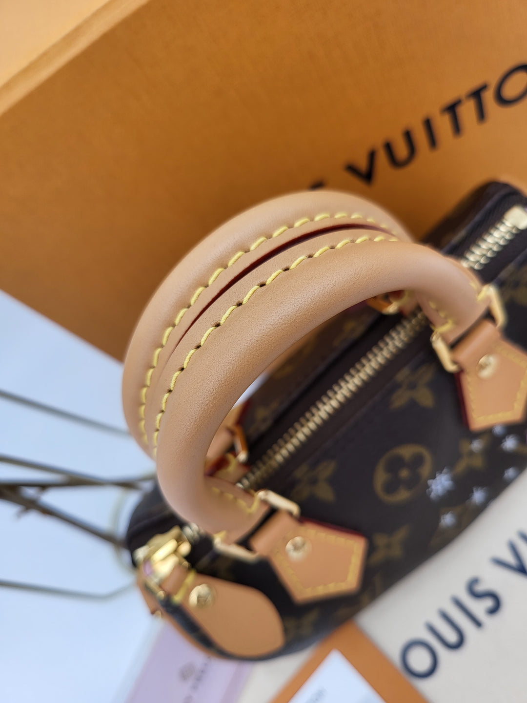 LOUIS VUITTON NANO SPEEDY VIVIENNE MONOGRAM