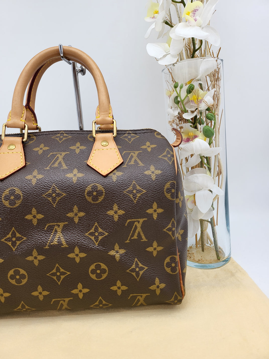 LOUIS VUITTON SPEEDY 25 MONOGRAM