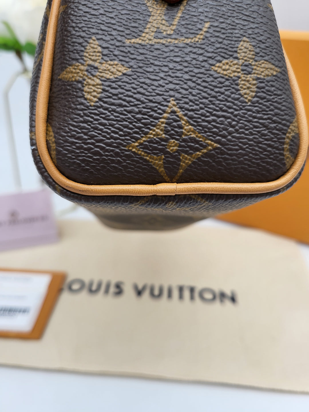 LOUIS VUITTON NANO SPEEDY VIVIENNE MONOGRAM