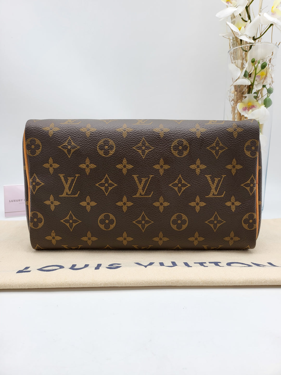 LOUIS VUITTON SPEEDY 25 MONOGRAM
