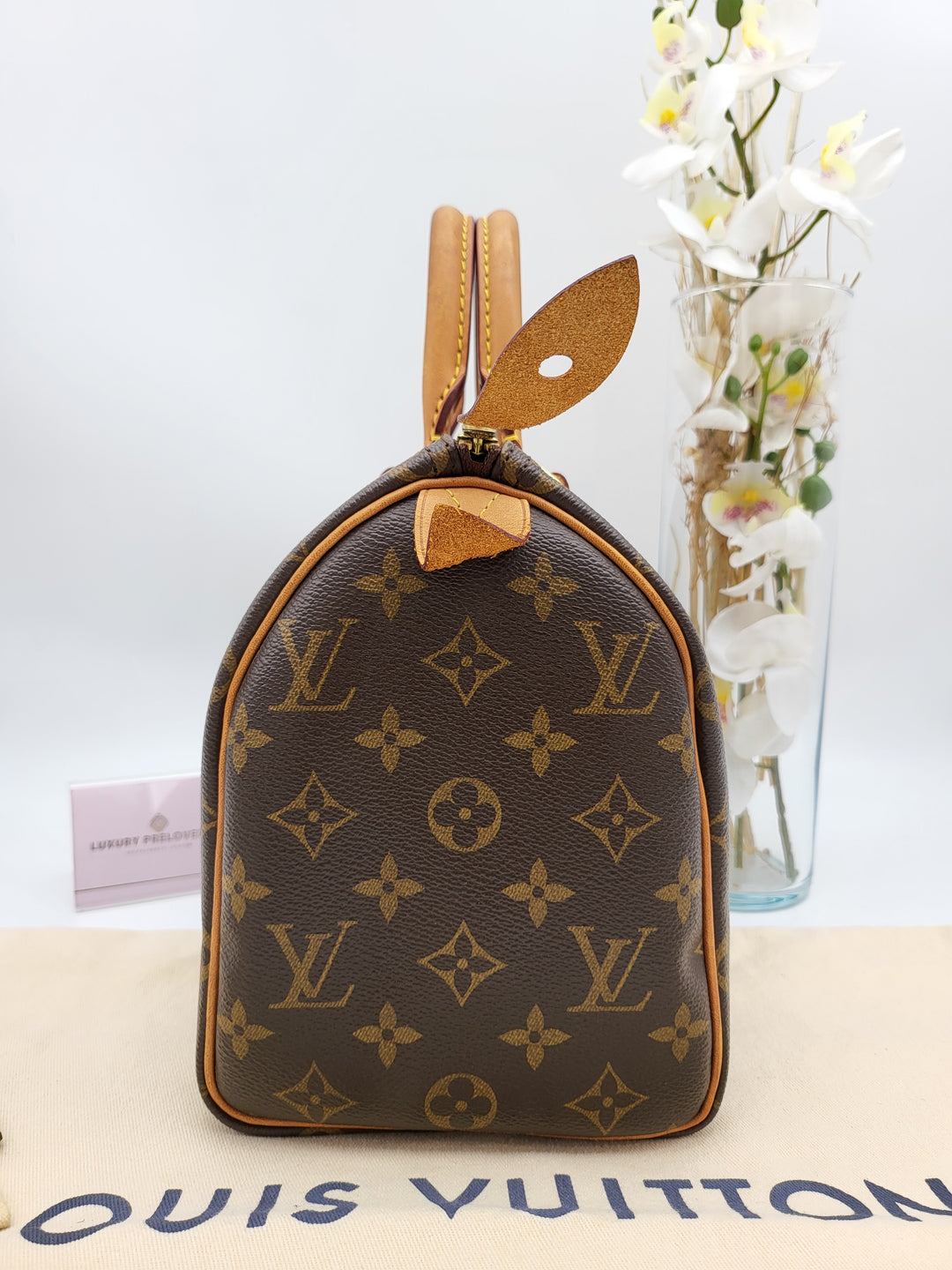 LOUIS VUITTON SPEEDY 25 MONOGRAM