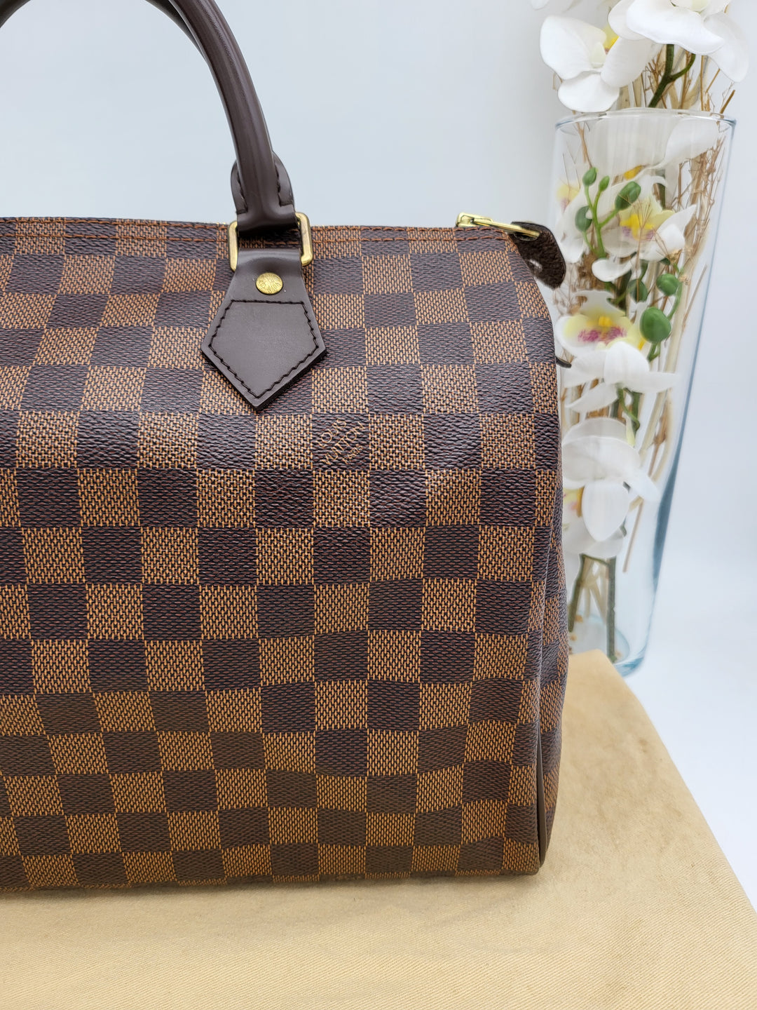LOUIS VUITTON SPEEDY 30 DAMIER