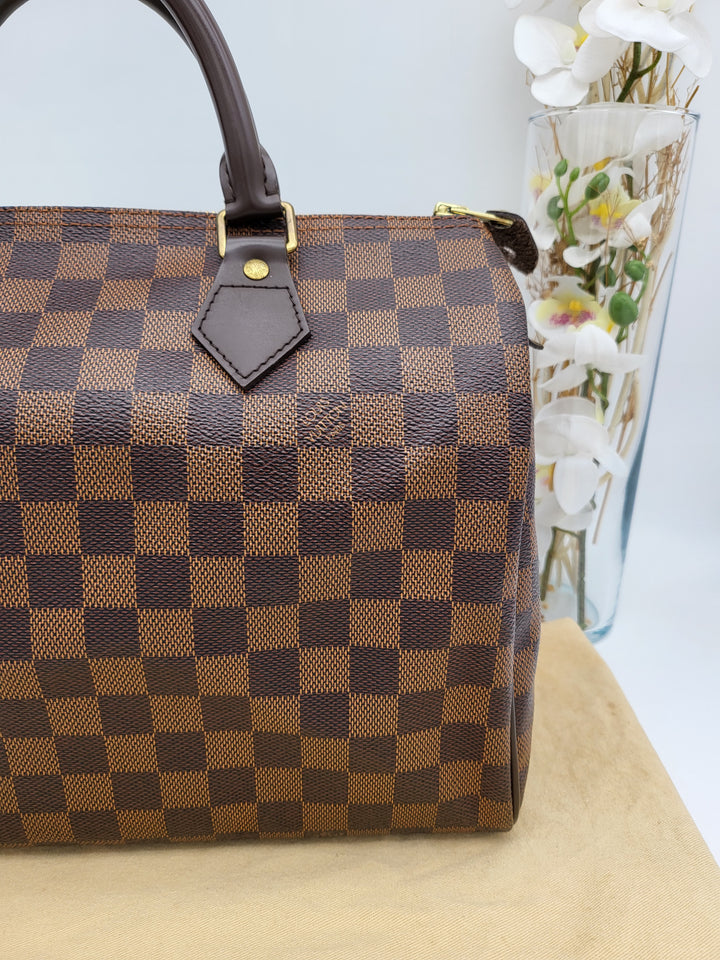 LOUIS VUITTON SPEEDY 30 DAMIER