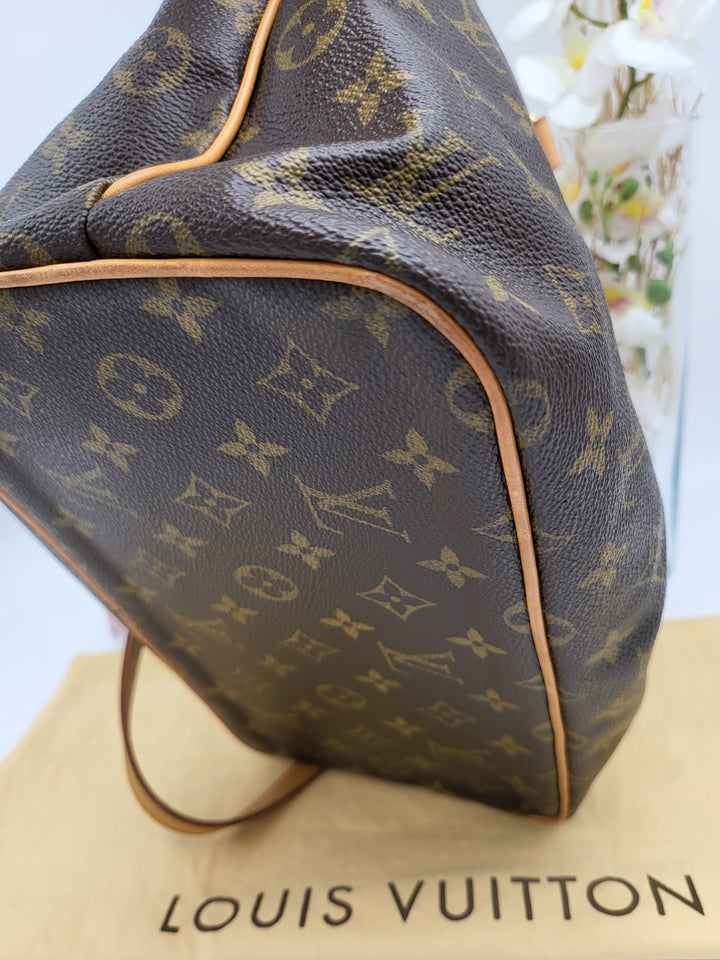 LOUIS VUITTON MONOGRAM PALERMO PM